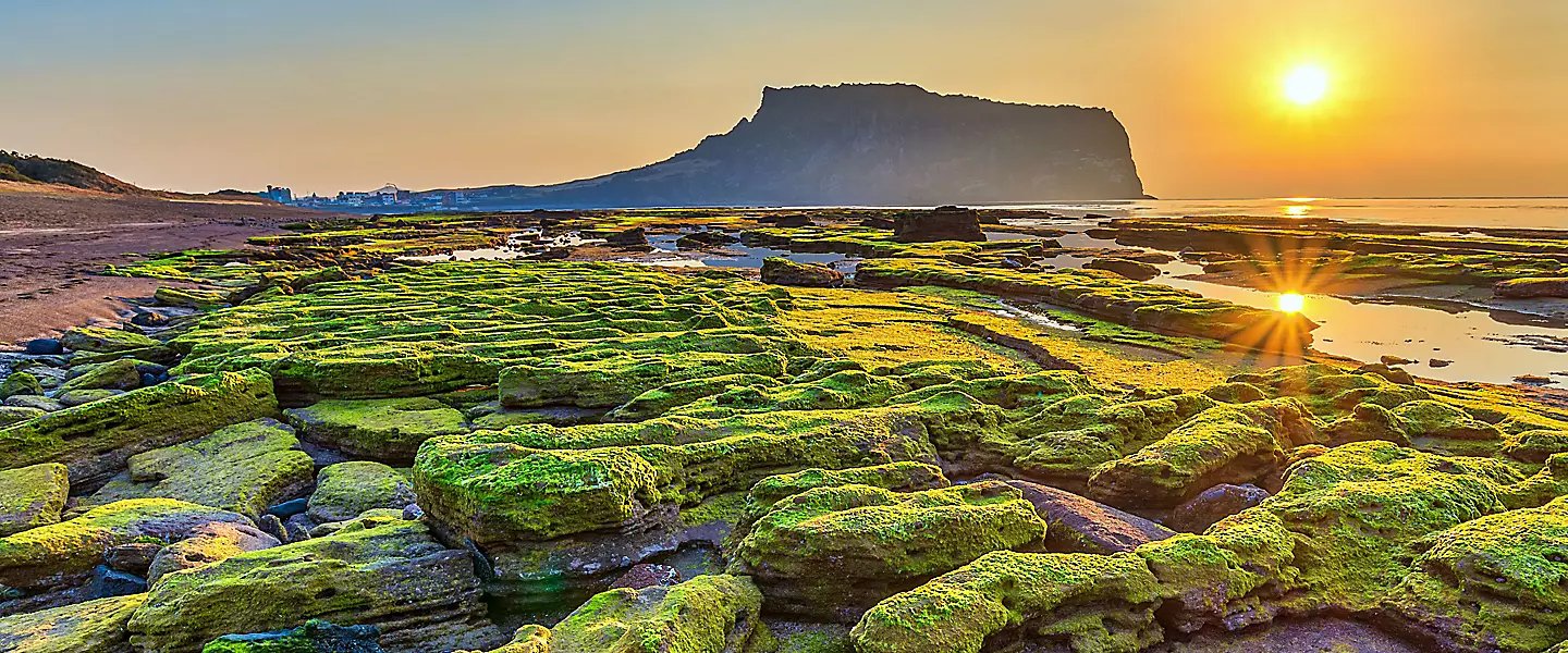 🏯 보주인 (호슈인) 이미지 1